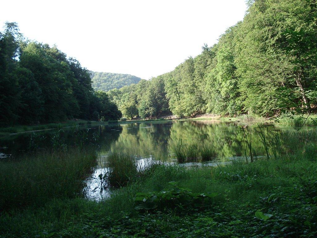 Seoski Turiziam Larva Trenkovo Exterior foto